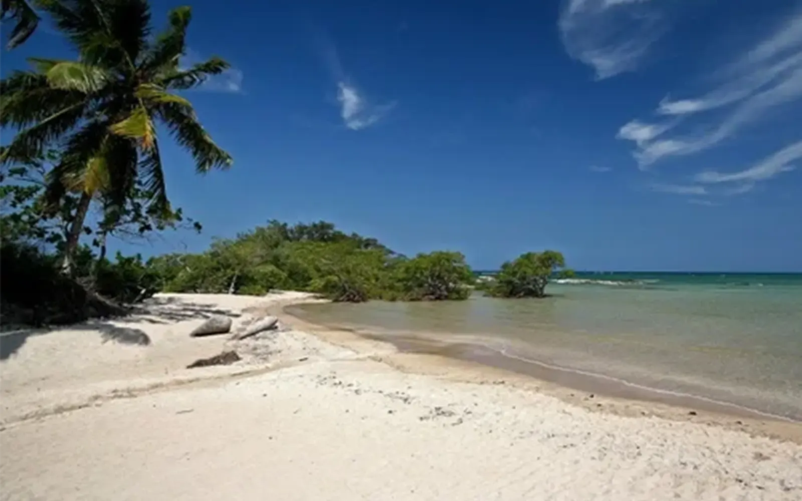 Ilha da Baía de Todos os Santos Praia deserta de areia branca em uma das ilhas da Baía de Todos os Santos, com mangue e coqueiro na beira