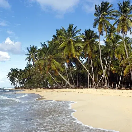 Praia deserta em Boipeba Coqueiros sobre a faixa de areia de uma praia deserta, com o mar batendo na beira