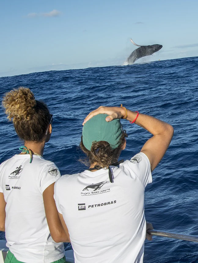 passeio de lancha observar baleias praia do forte, Bahia